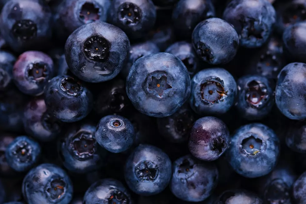 Photo by Joanna Kosinska on Unsplash