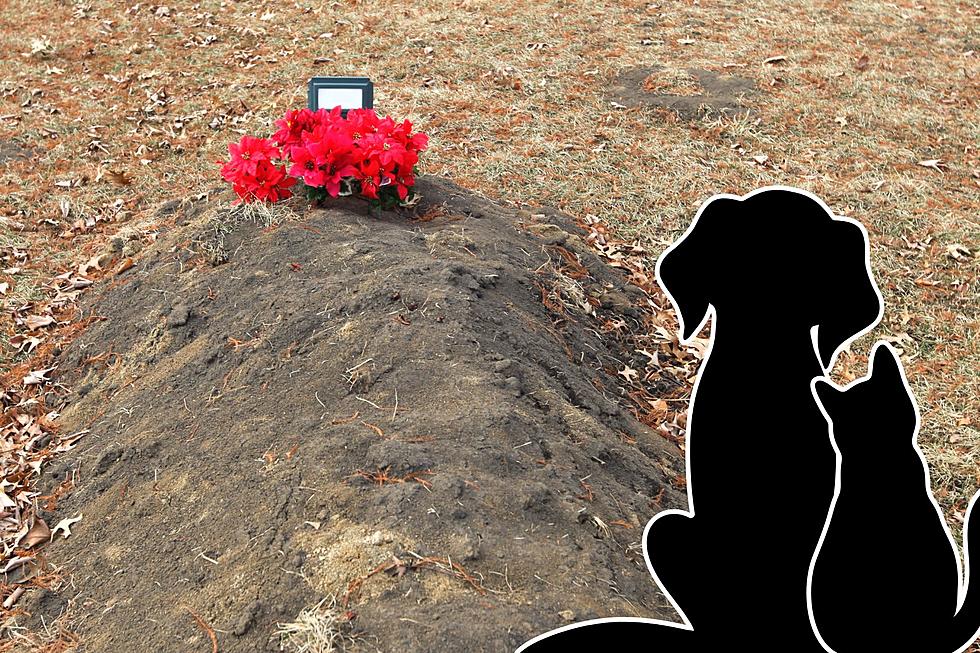 Can You Legally Be Buried With Your Pet Here In New Jersey?