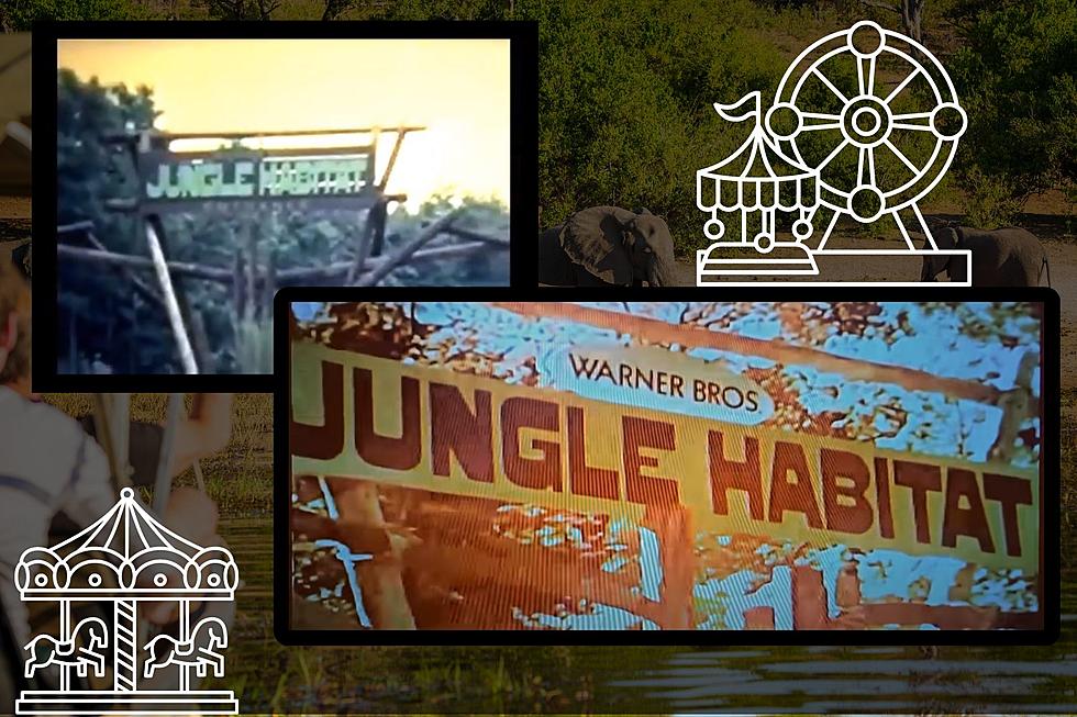 Old Footage Shows Off Once Popular “Jungle Habitat” NJ Theme Park