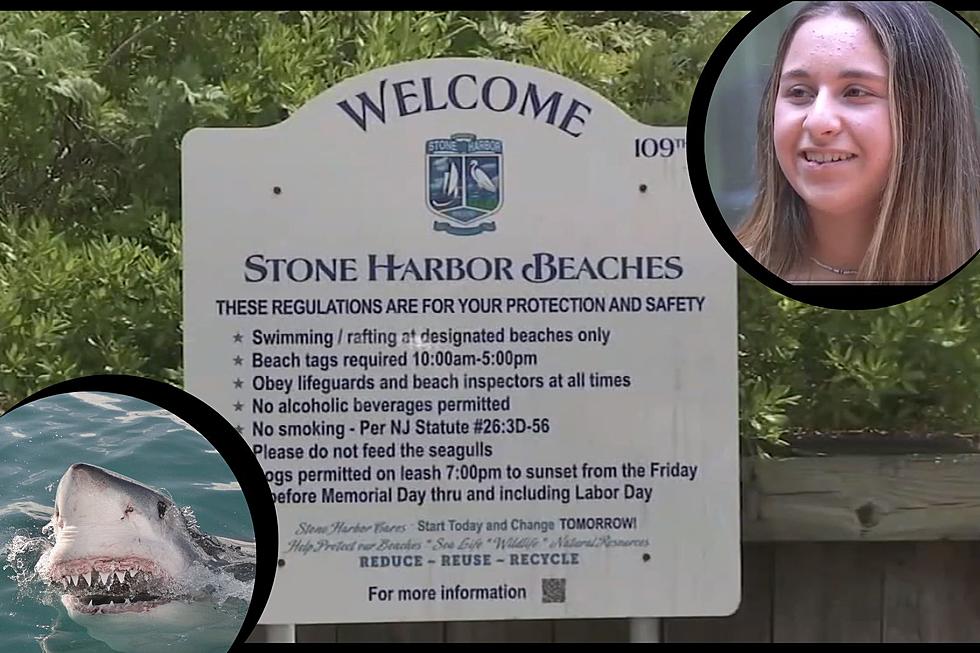 Stone Harbor, NJ, Shark Bite Victim Swears Off NJ Beaches This Year