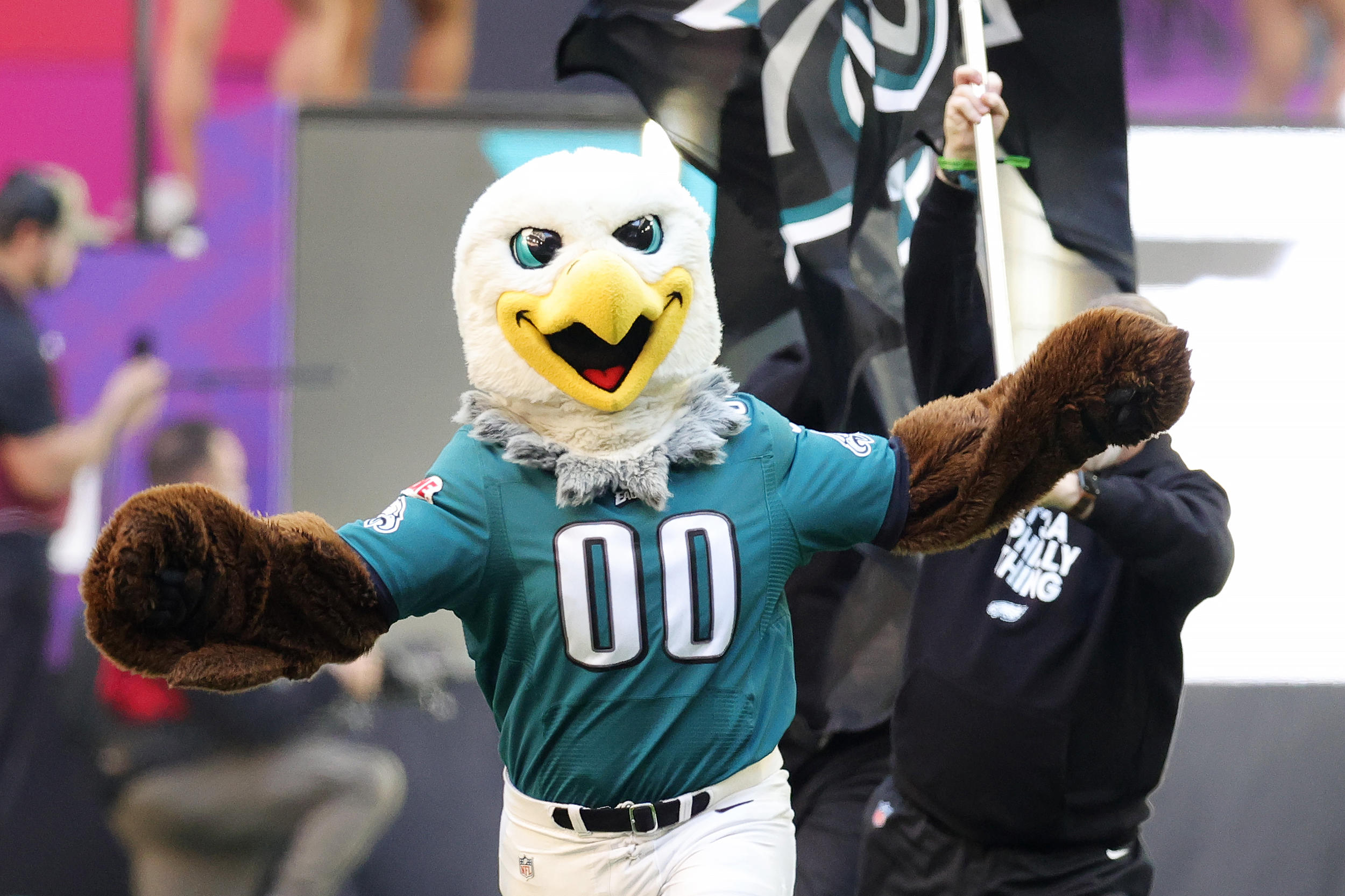 Eagles' Swoop Loses to Buffalo Mascot in List of Best NFL Mascots