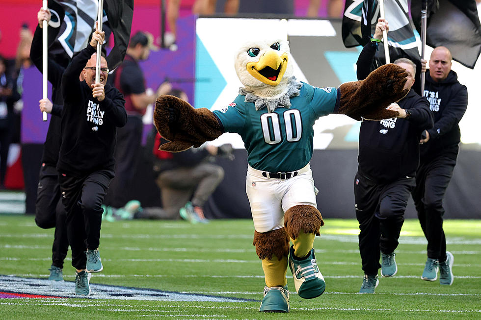 Eagles’ Swoop Loses to Buffalo Mascot in List of Best NFL Mascots