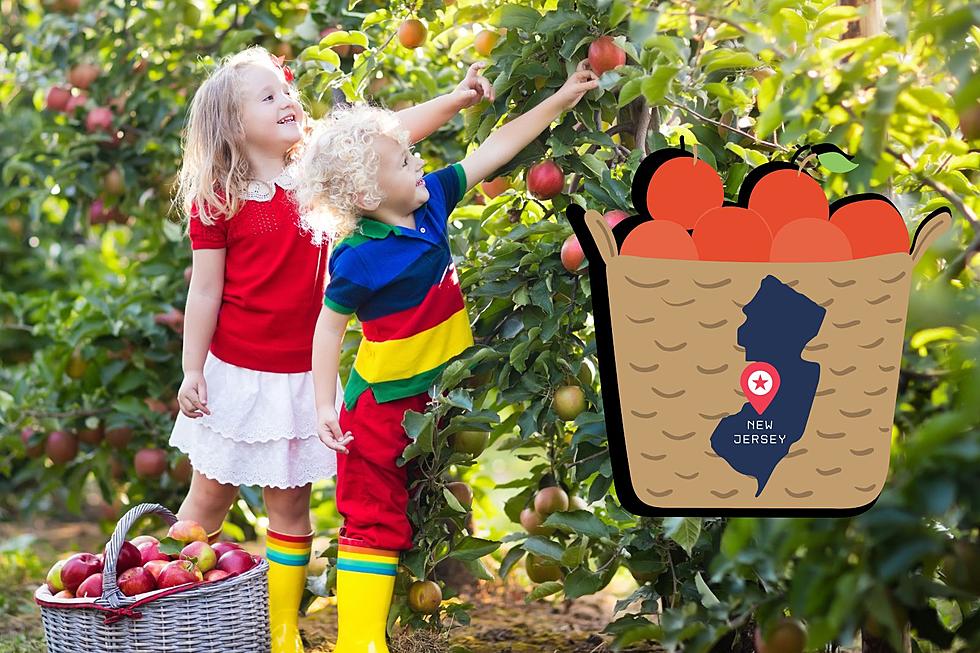 Here’s The Top 6 Places To Pick Your Fall Apples In South Jersey
