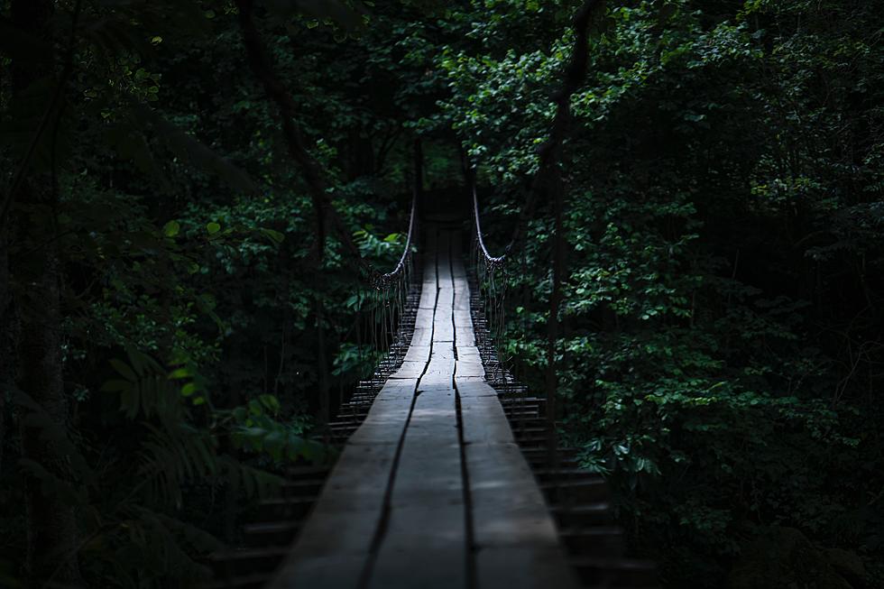 You Might Get Scared Walking Across New Jersey's Swinging Bridge