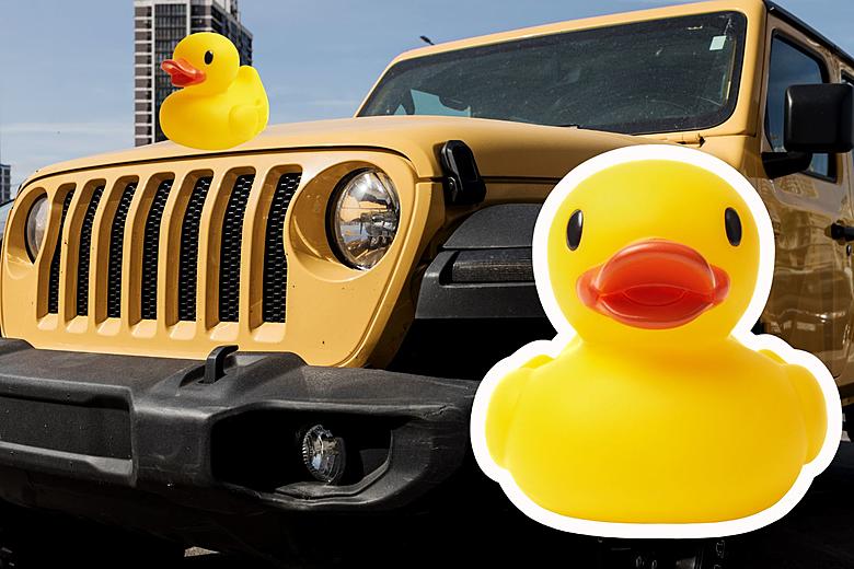 Find A Rubber Duck On Your Jeep Here In New Jersey? Here's Why
