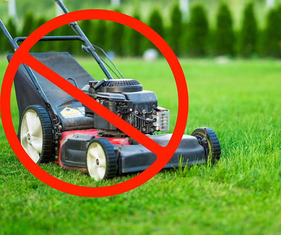 When You Should Stop Mowing Your Lawn in New Jersey