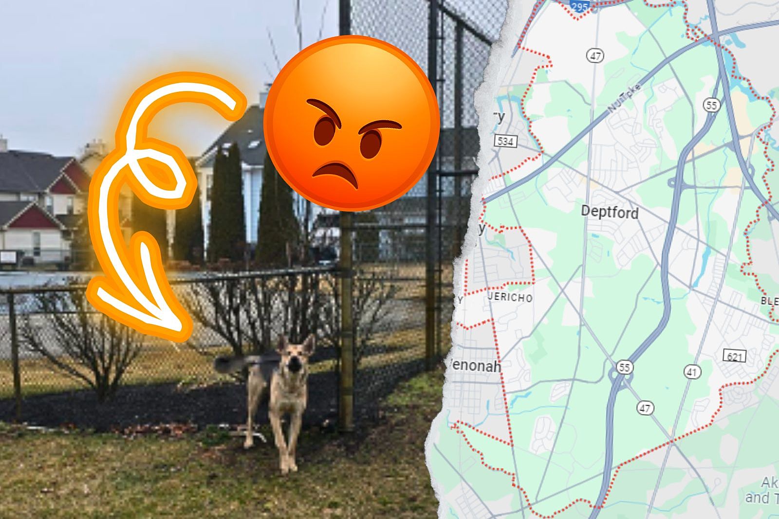 German Shepherd Dumped, Found Tied To Fence In Deptford, NJ