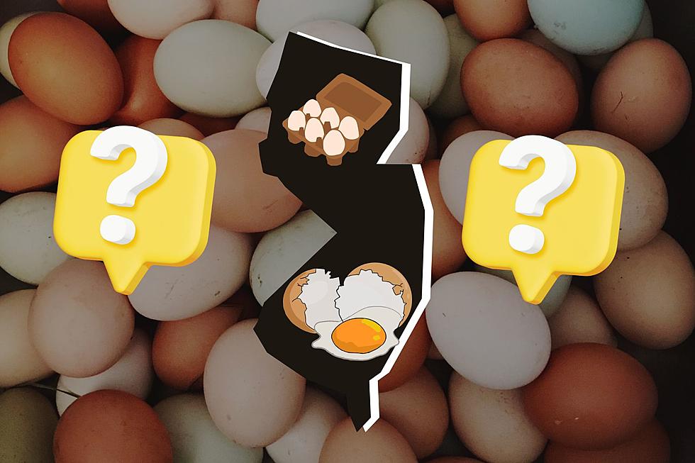 Scrambled Or Fried? New Jersey Once Almost Nicknamed “The Egg State”