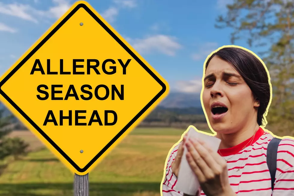 10 Steps NJ Residents Can Take To Conquer Spring Allergies EARLY
