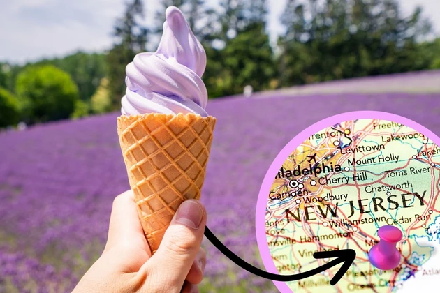 New Jersey&#8217;s BEST Ice Cream For Spring Found In Northfield, NJ