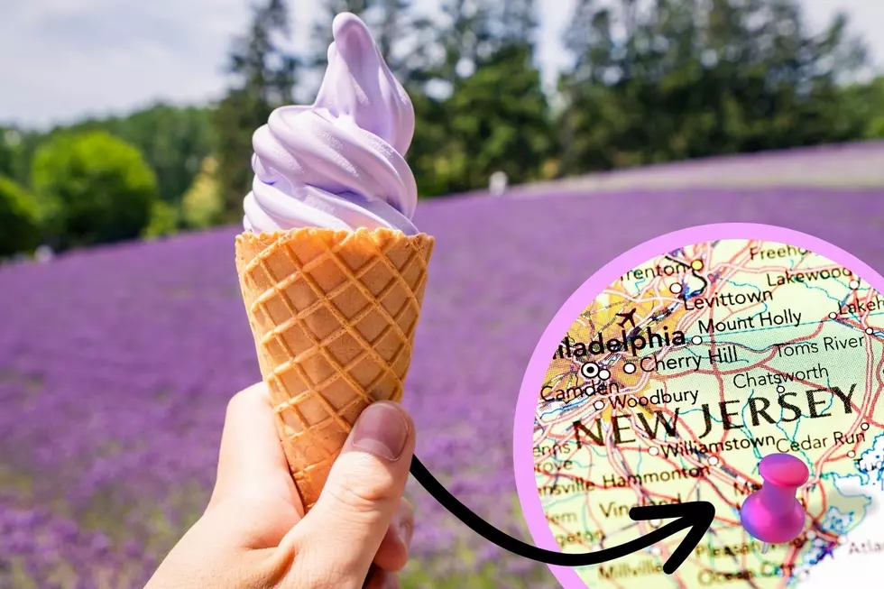 New Jersey's BEST Ice Cream For Spring Found In Northfield, NJ