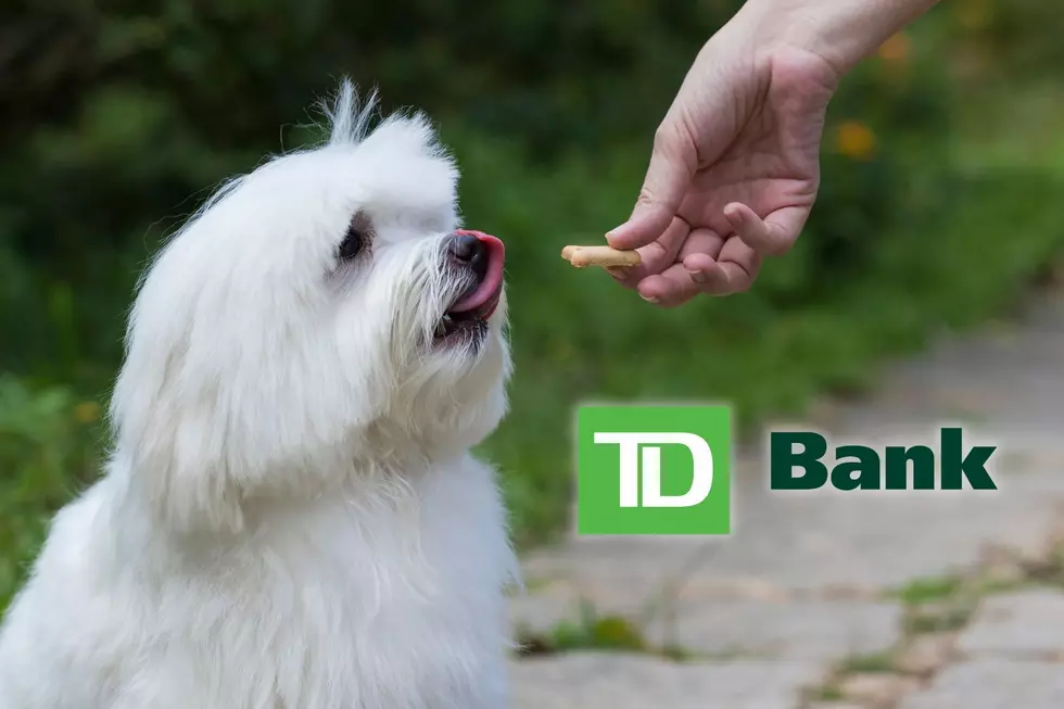 TD Bank Debuts Dog ATMs in Philly; Is South Jersey Next?