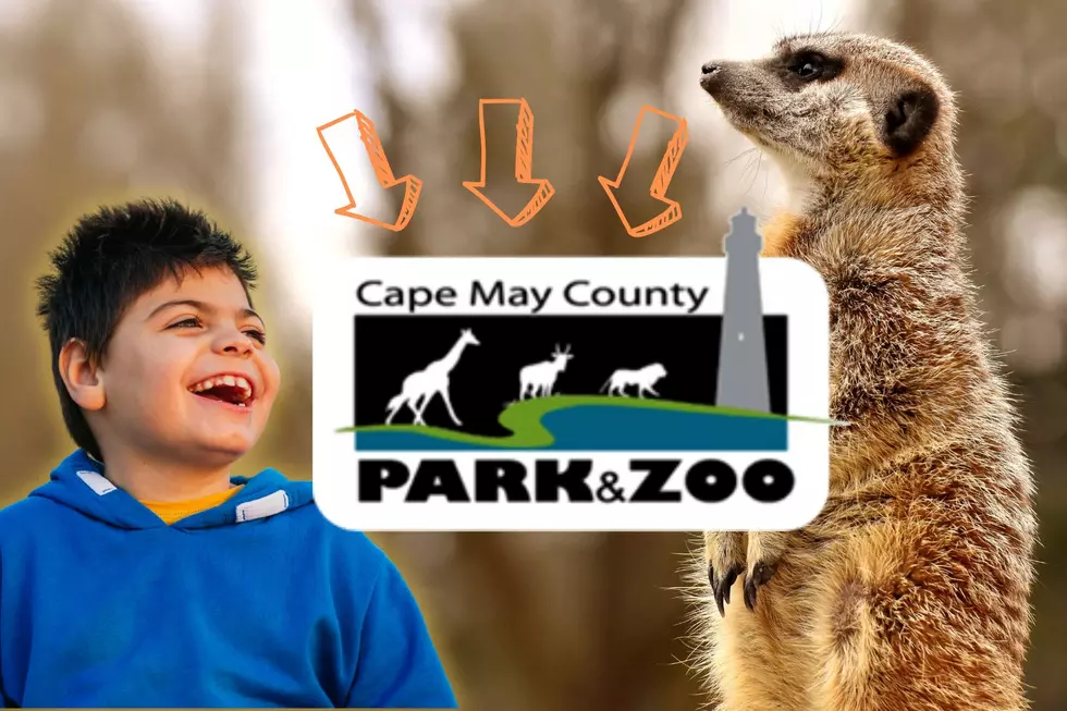 Cape May Zoo To Host Fabulous Event For Special Needs Families