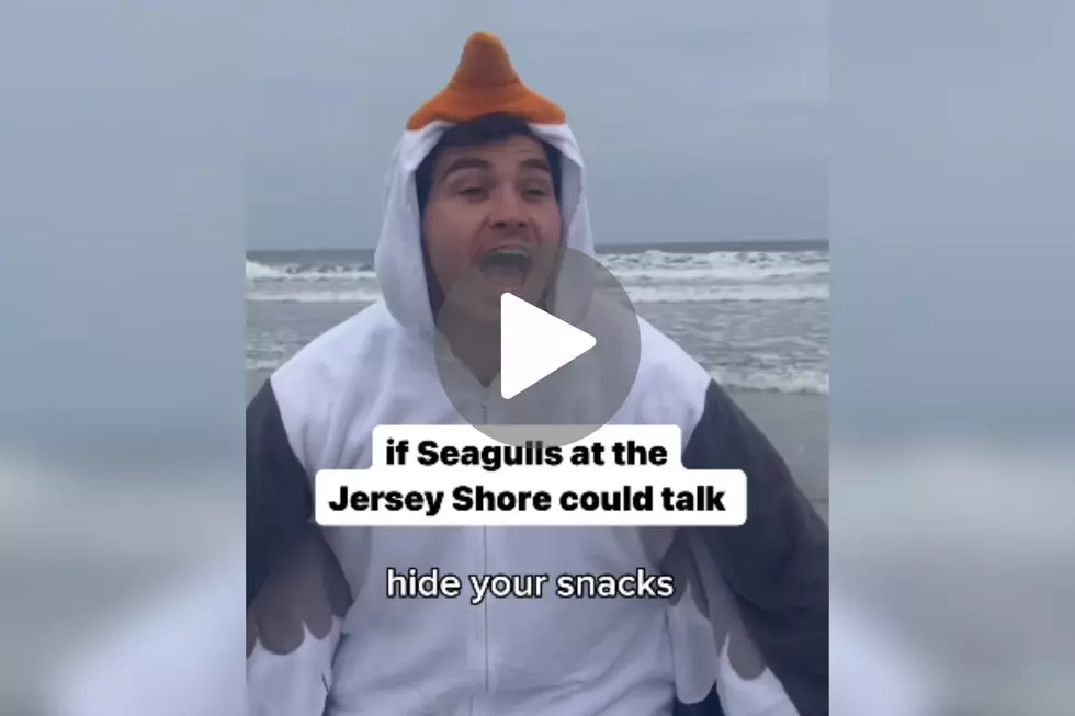 VIDEO: If Seagulls At The Jersey Shore Could Talk