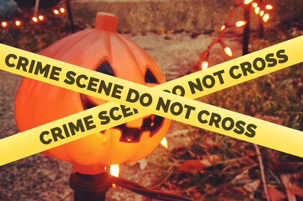 $5,000 theft reported at huge New Jersey Halloween light show