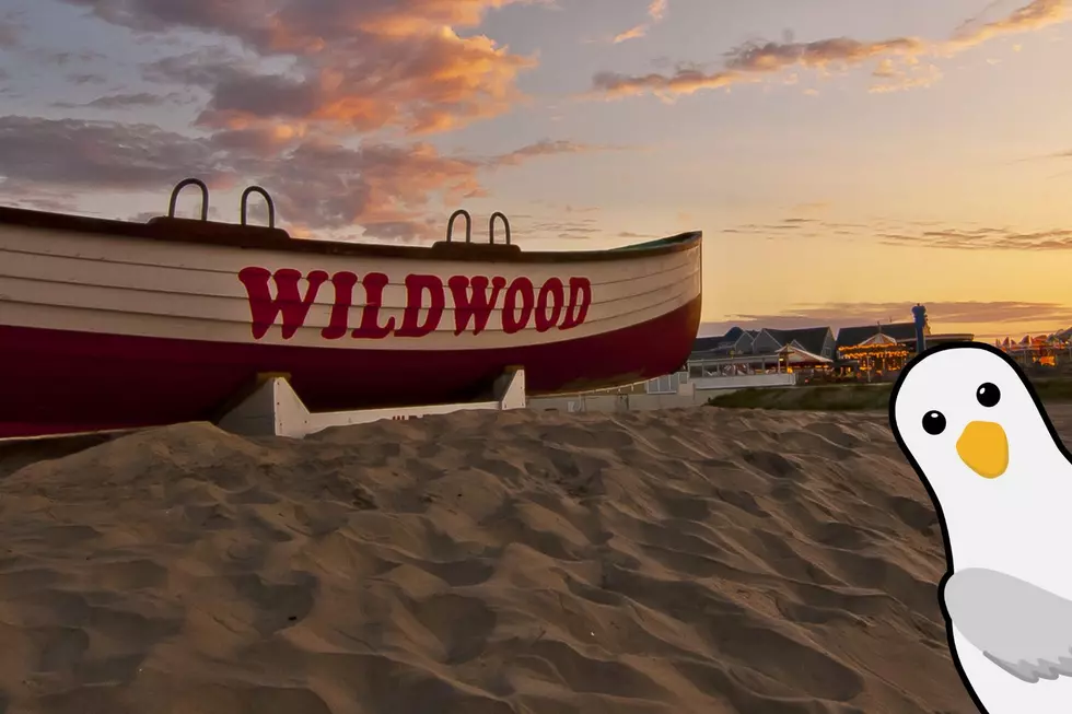 Wildwood Piers Opening Day 2025