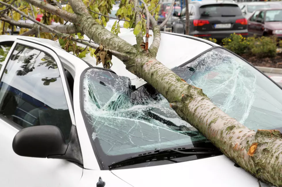 New Jersey Just Saw The Biggest Car Insurance Price Jump In America