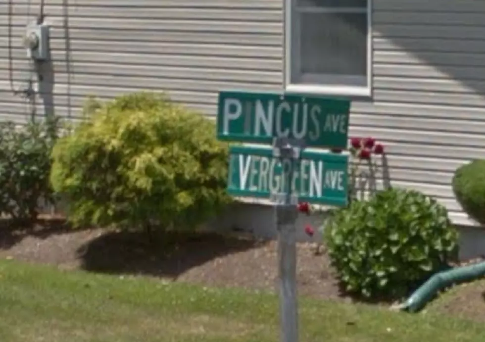 Northfield Police Arrest Burglary Suspect