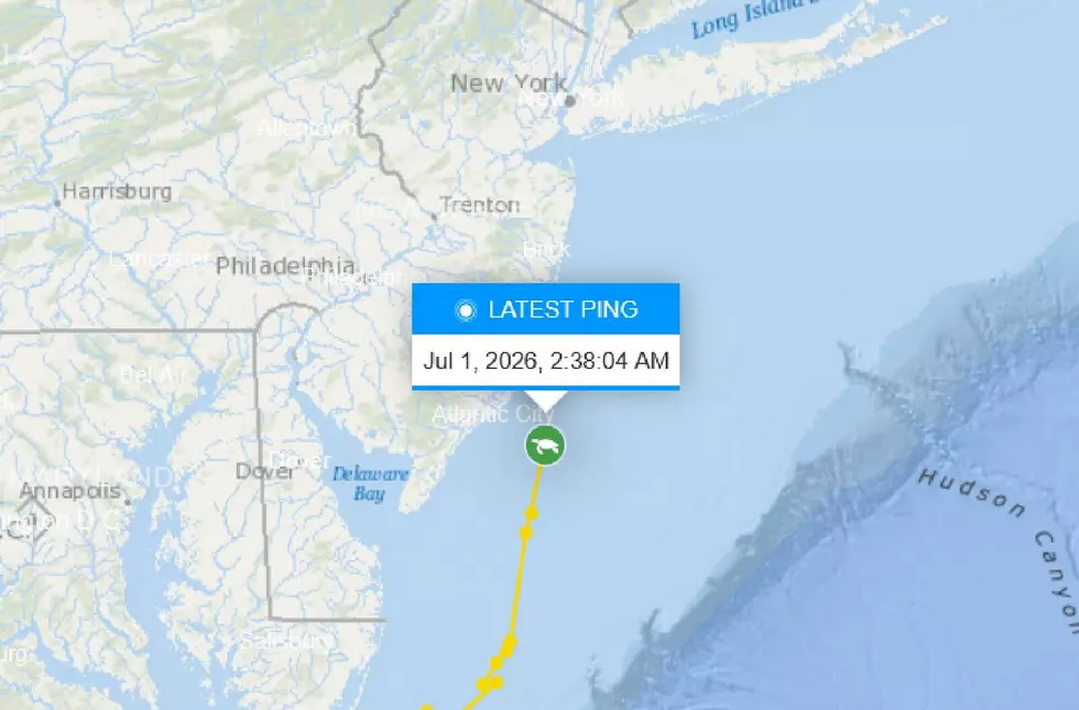 Ocearch.org