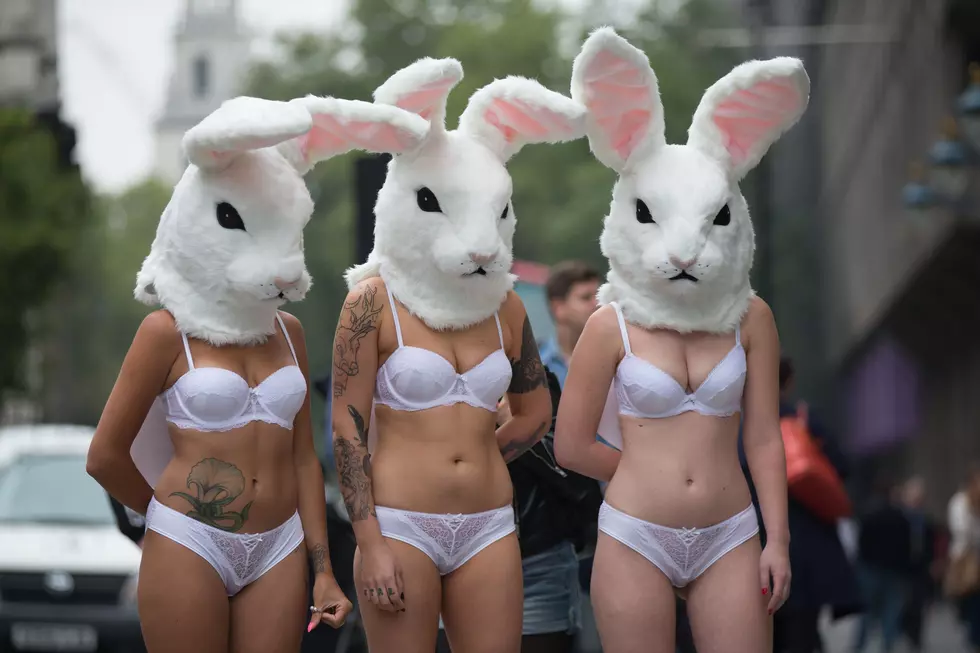 PETA Plans Crabby Protest in Ocean City This Week