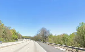 Local Man Claims to Have Seen Mountain Lion Dead on New Jersey Road