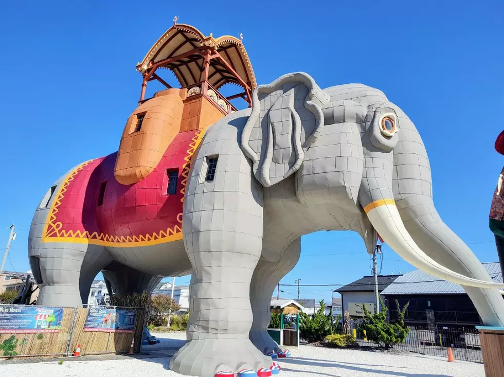 Margate’s Lucy the Elephant Gets New Historical Designation