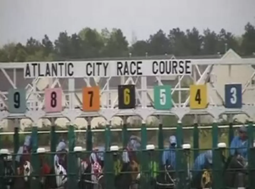 A Few Days of Live Racing Brings Back Memories At Atlantic City Race Course