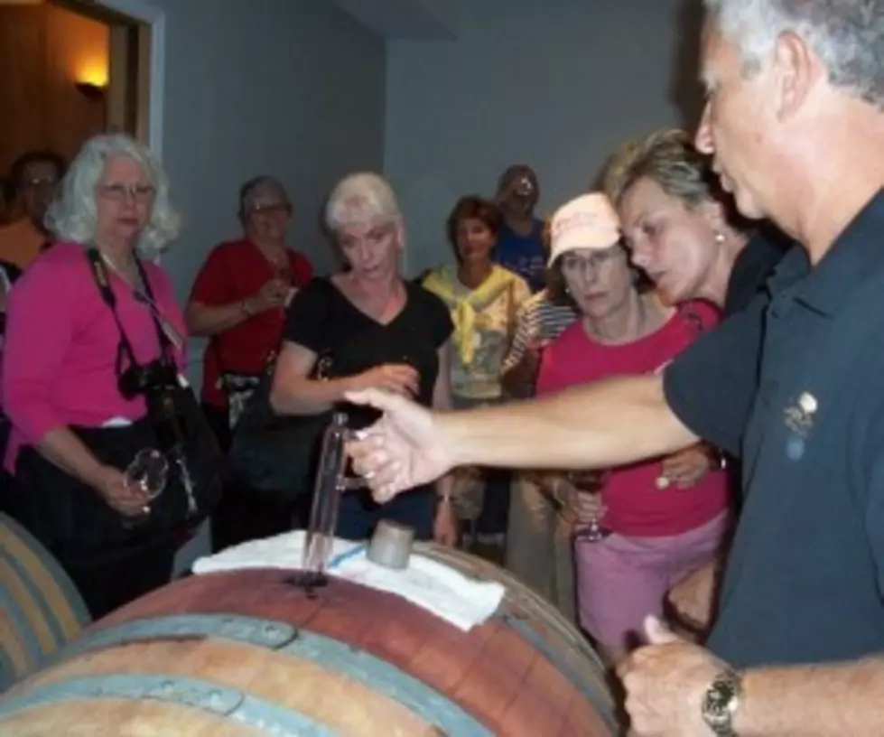 Cape May Winery Cellar Tour