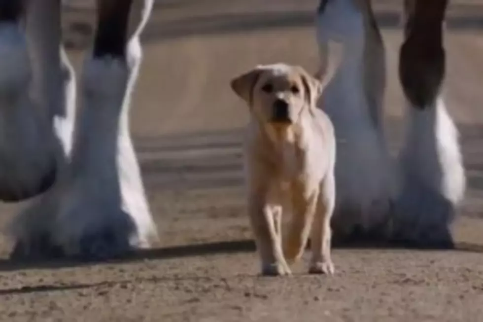 And The Winning 2014 Superbowl Commercial Is… [VIDEO]