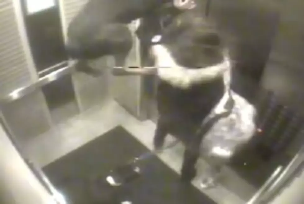 Elevator Ride From Hell: Girl Saves Her Strangling Dog in Crazy Video
