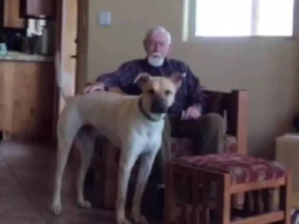Man With Alzheimer&#8217;s Speaks to Family Dog [VIDEO|