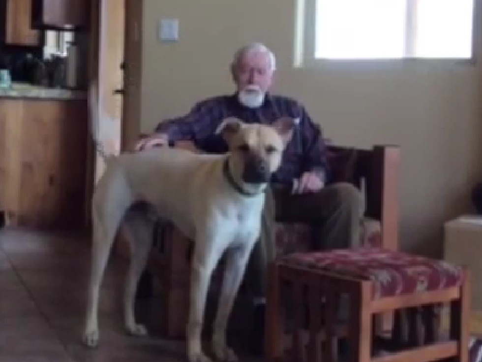 Man With Alzheimer’s Speaks to Family Dog [VIDEO|