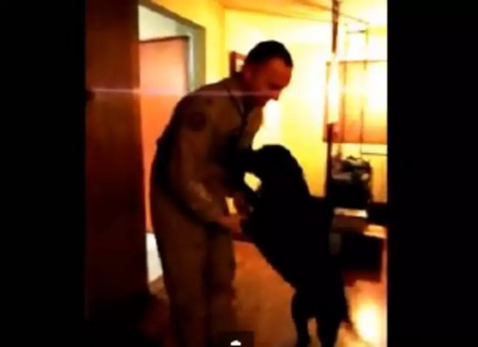 Puppy Love! Precious Video of a Sailor and His Dog Reunited After Deployment