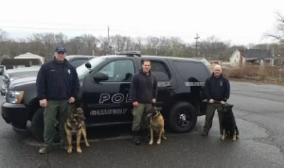 Super Sniffers! Galloway K-9 Dogs Excel in Drug Detection Tests