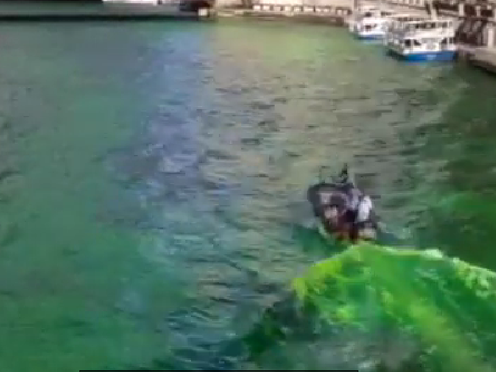 See How The Chicago River is Dyed for St. Partick’s Day [Video]