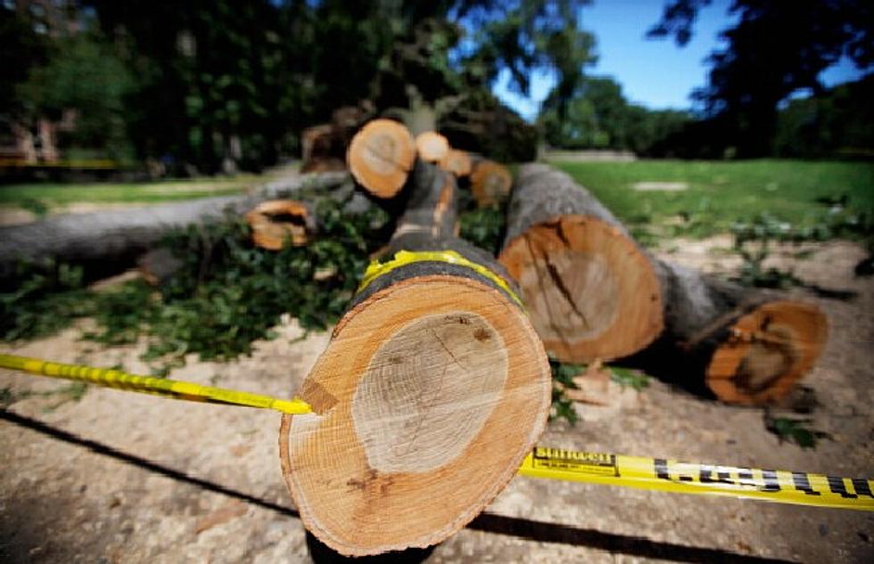 Low Cost Firewood Available to Atlantic County Residents