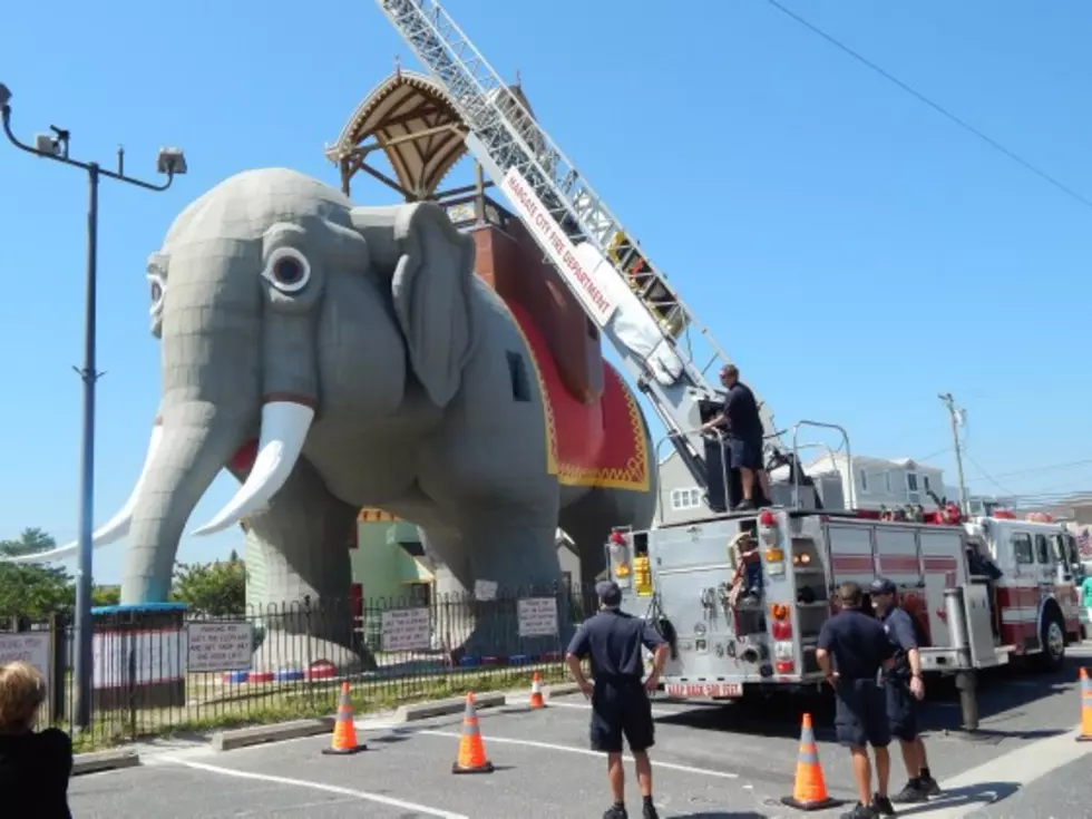 PETA Offer Declined By Lucy the Elephant