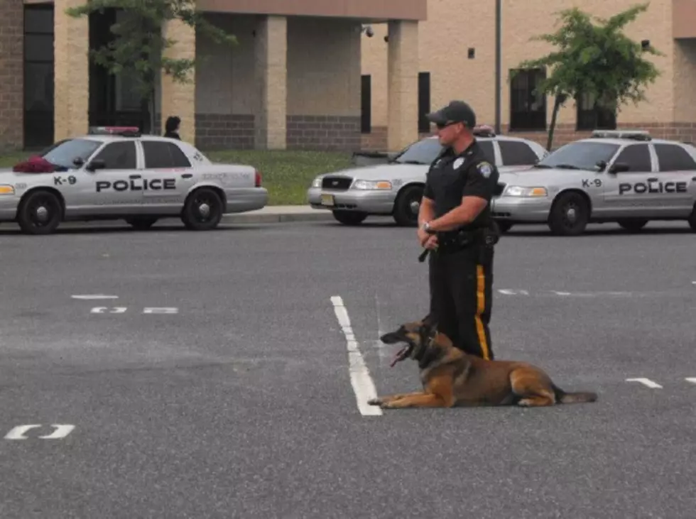 EHT Police Mourn K-9 Dog, Axl