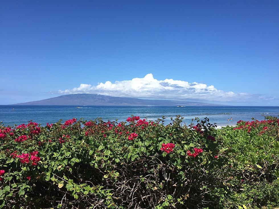 Laurie&#8217;s Hawaii Honeymoon: Maui