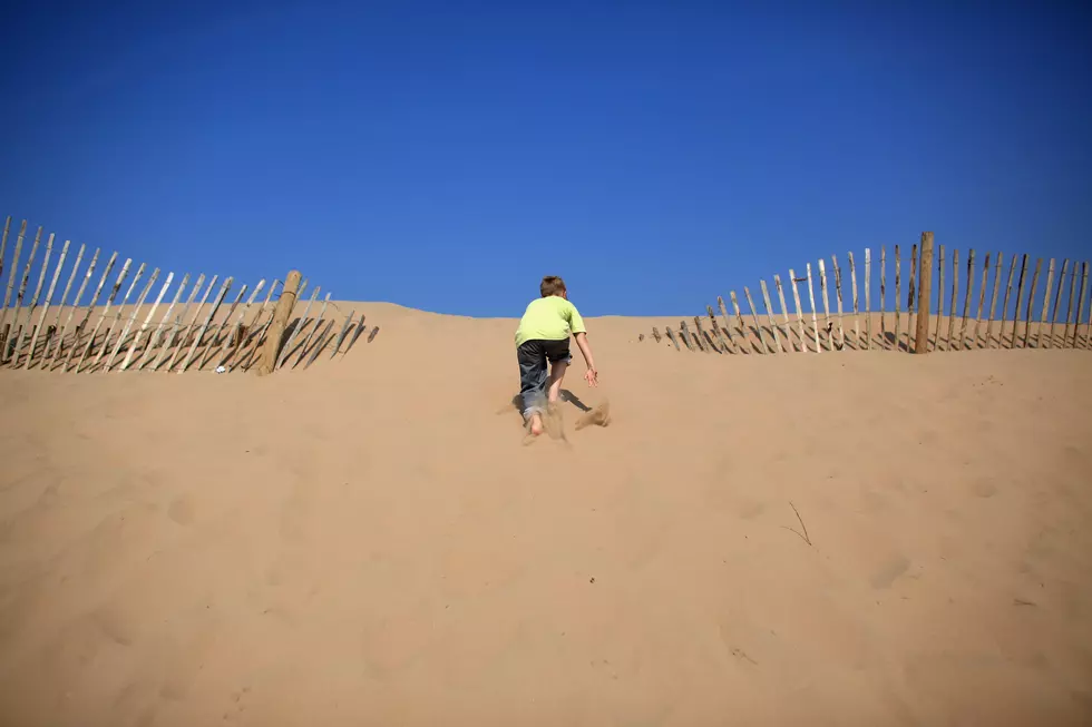 Ventnor Buries Beach Dune Summer Project