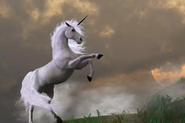 Unicorn Pizza: It Will Peak Your Interest and Your Sugar Levels &#8211; Gabbing With Guida [WATCH]