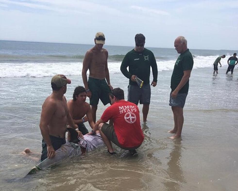 Sea Isle Lifeguards Rescue Stranded Dolphin [VIDEO]