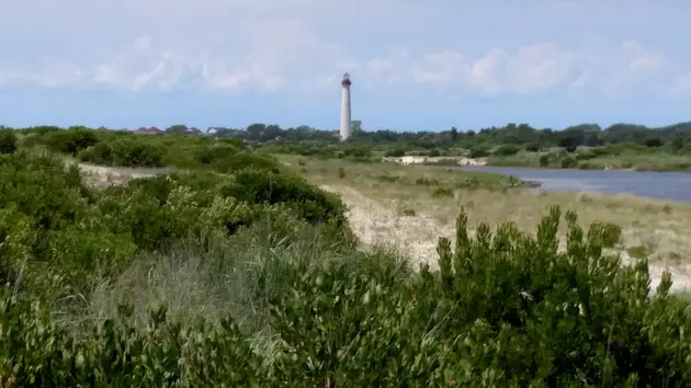 South Jersey Celebrates National Lighthouse Day