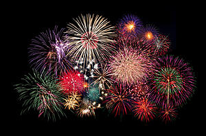 Here Is The Solution To Cure Firework Anxiety&#8230;.