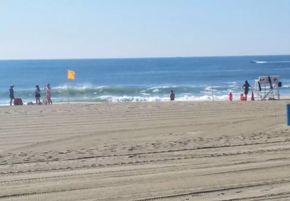 Jersey Shore Report for Saturday, August 17, 2019