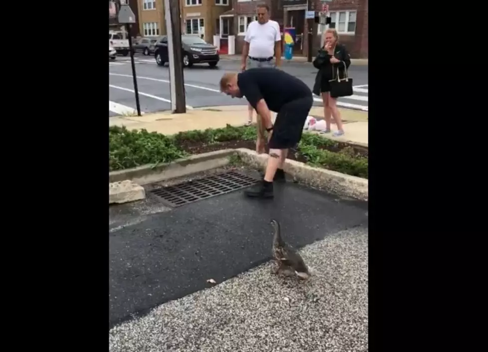 Watch Ventnor Police Save Baby Ducklings From Storm Drain