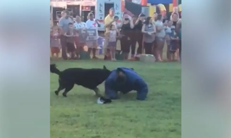 Watch Galloway K9 Cop Takes Down ‘Suspect’ at National Night Out