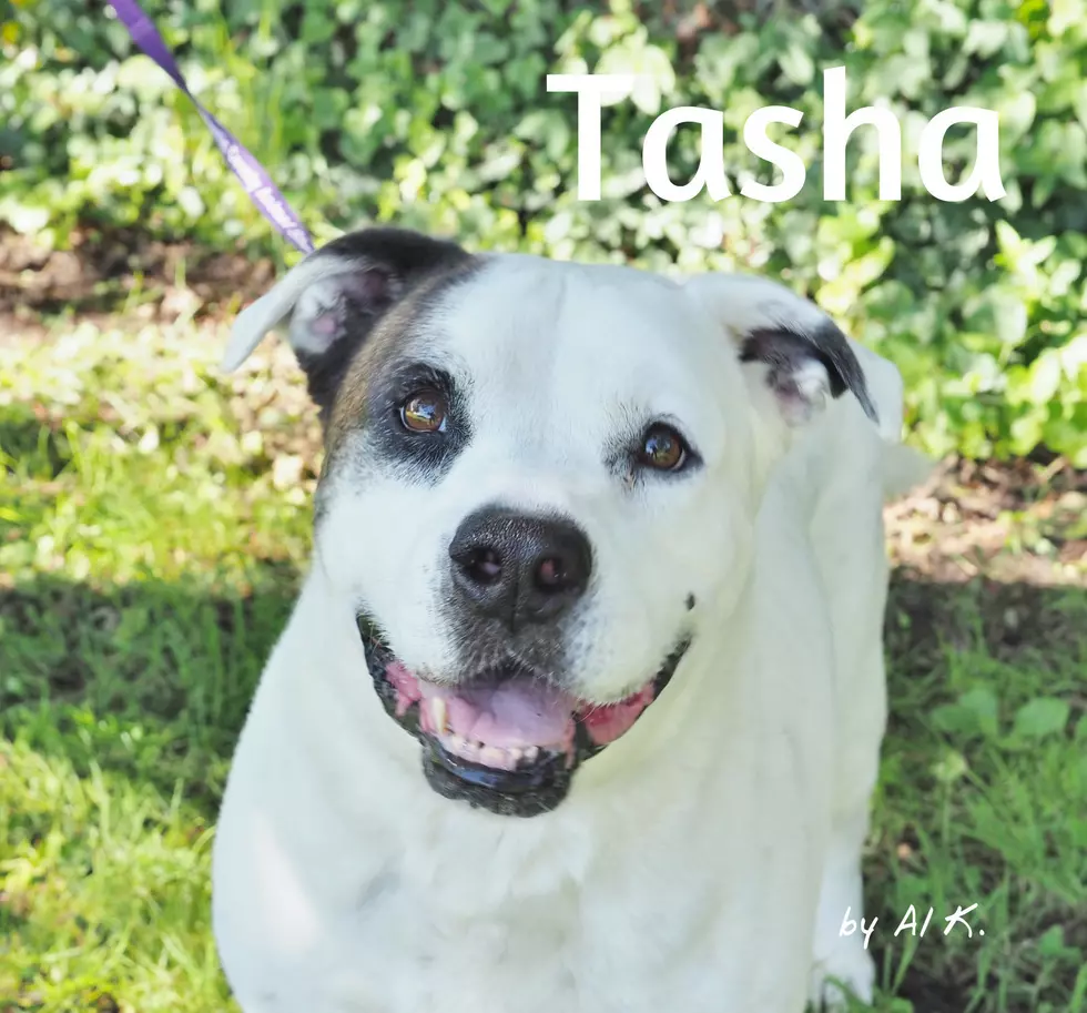 Via Petfinder