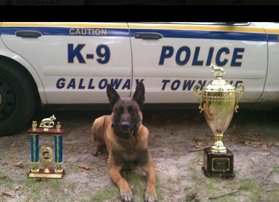 Galloway Police Salute Passing of Longtime K-9 Dog Zito