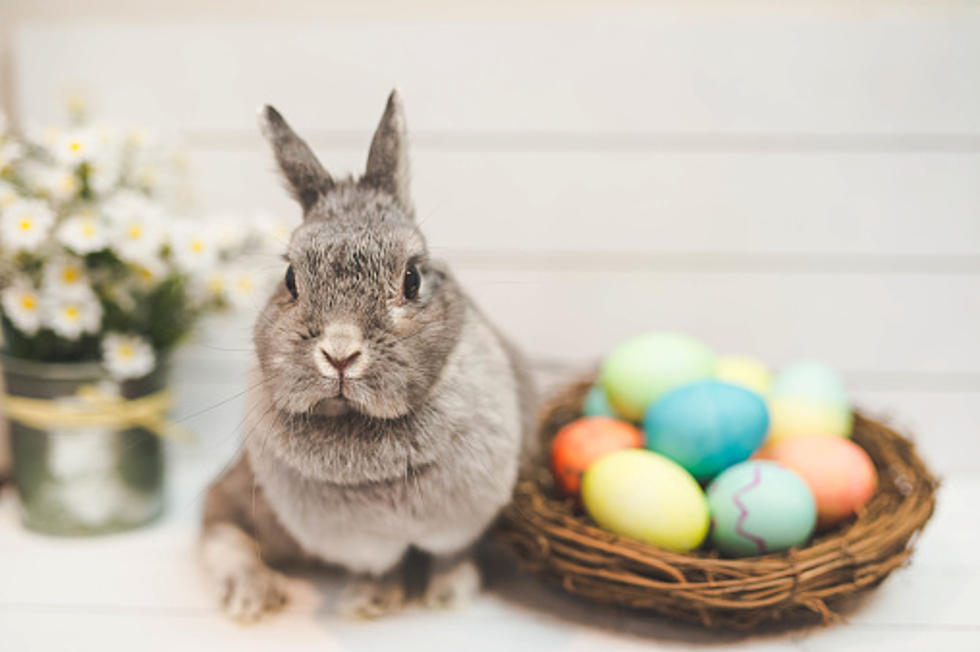 5 Tips for a “Hoppy” and Healthy Easter